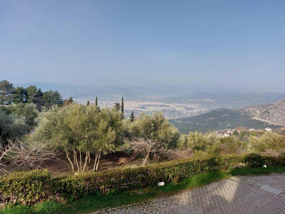 Hotel Valeni Boutique & Portaria (Magnesia)