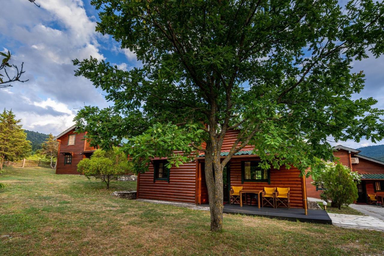 Likouresi Village 2* Karpenisi