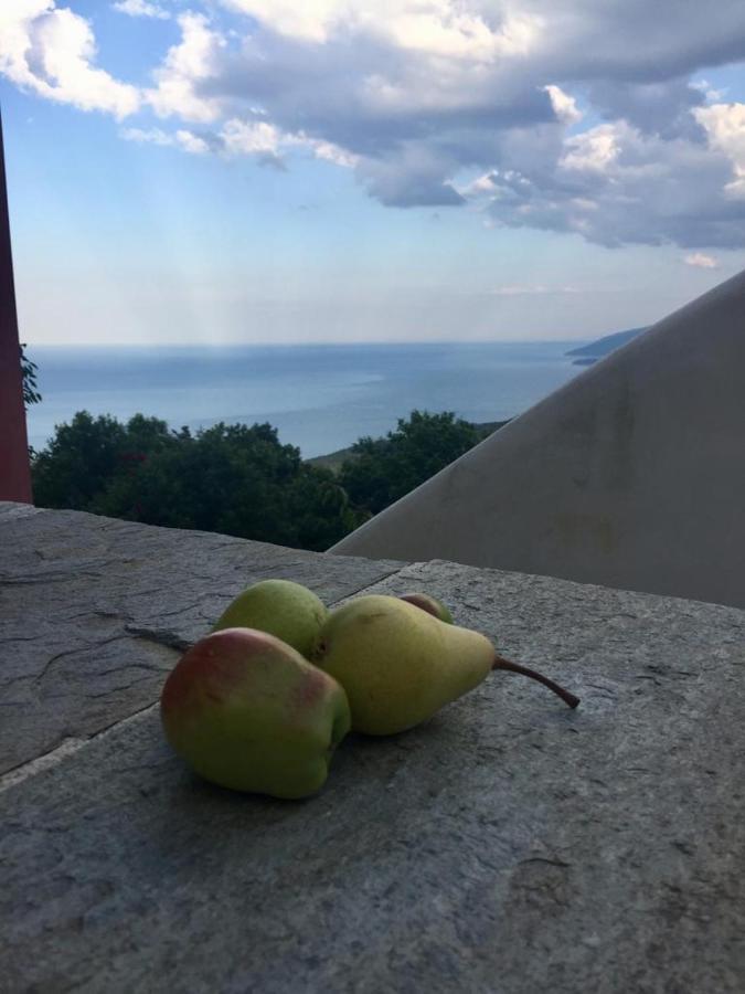 Sklithro In The Heart Of The Forest With Magnificent View Of The Sea Just 10 Minutes From It *
