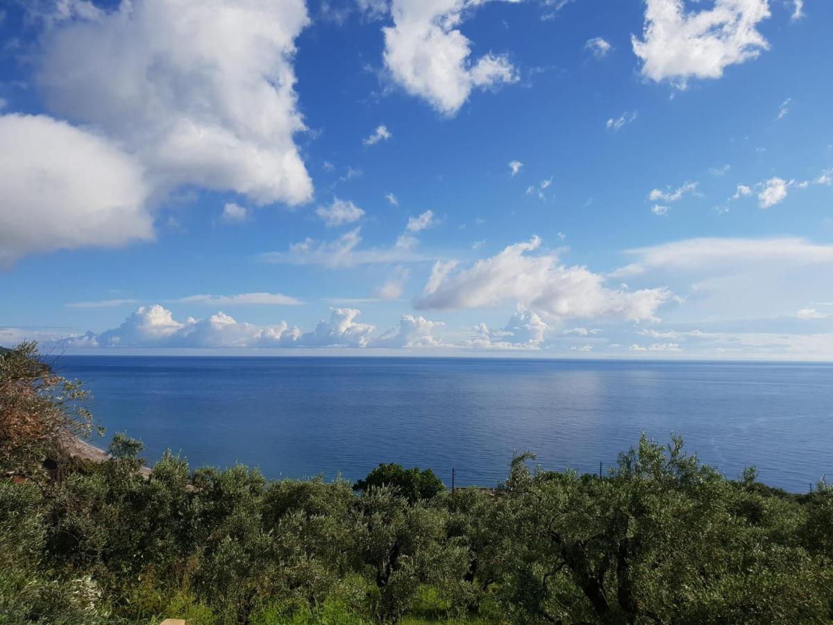 Moses Aparthotel 3*