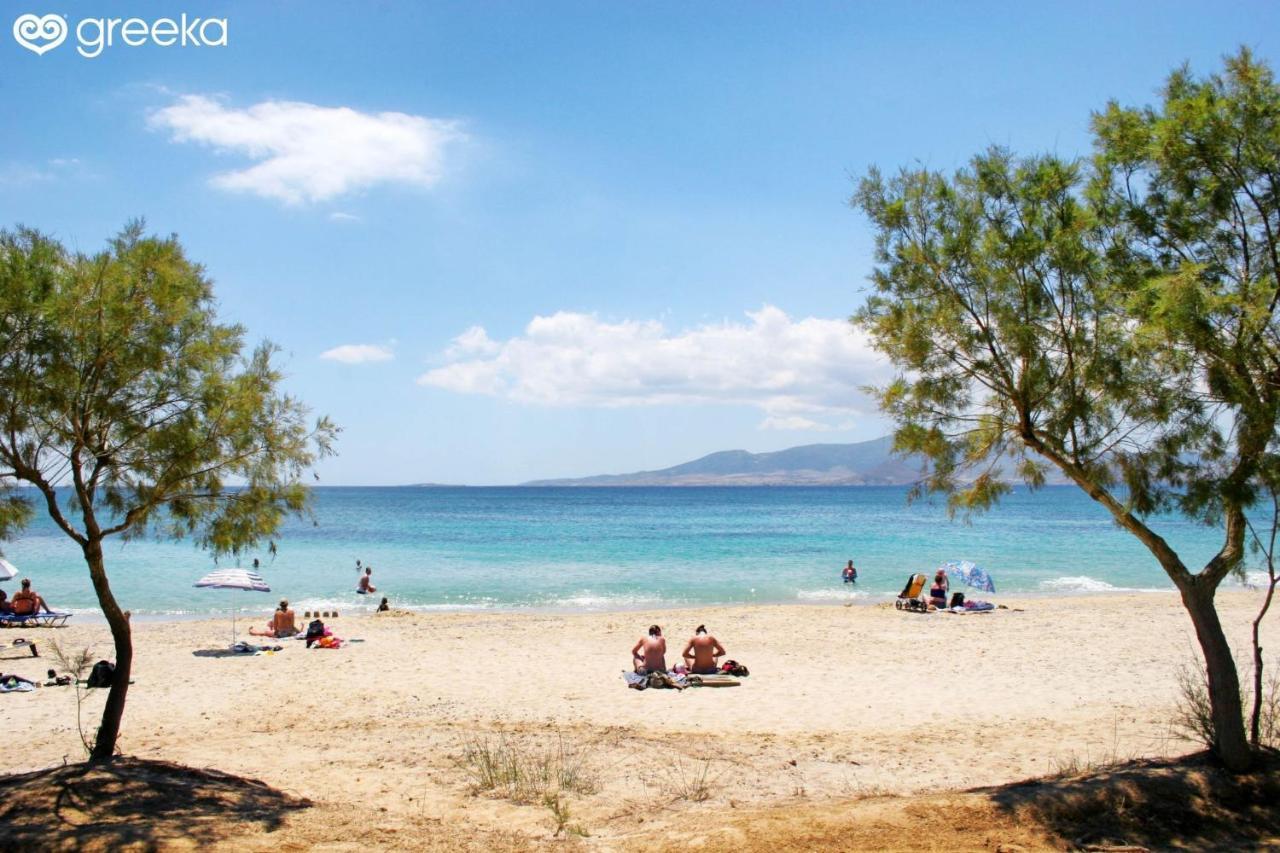 Country house Naxian Touch