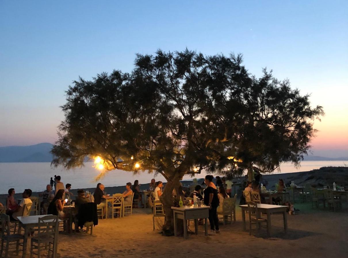 Naxian Touch *