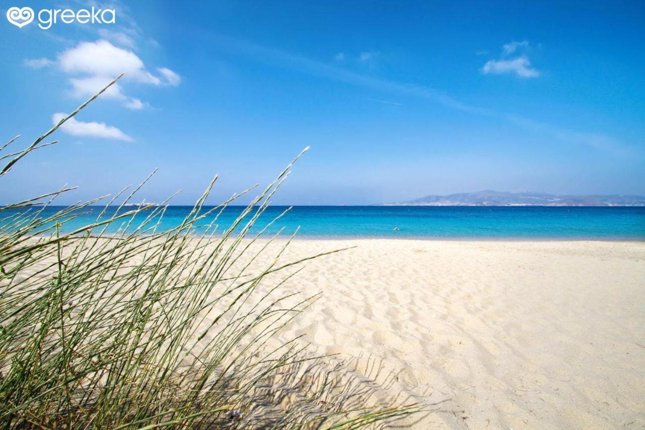 Naxian Touch