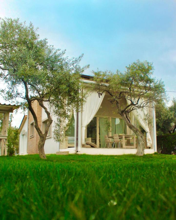 Villa Olive Dream Thassos Luxury *