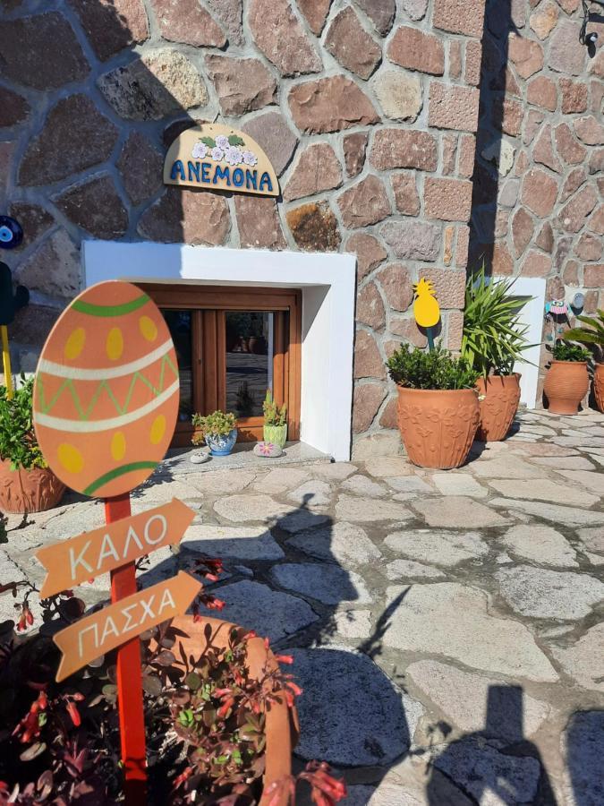 Apartment Anemona