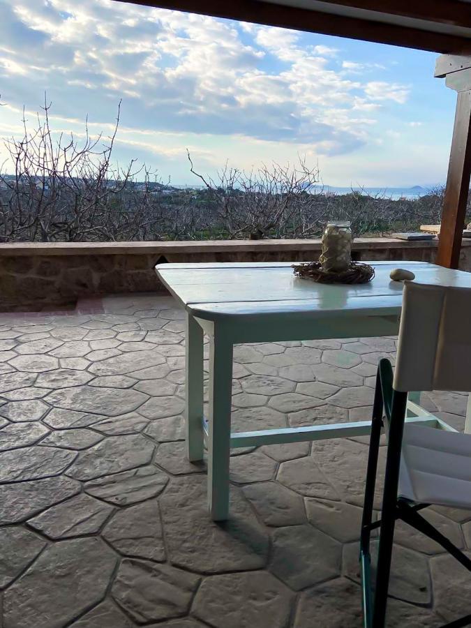 Guest house Pistachio Guesthouse, παραδοσιακός
