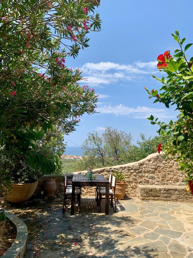Positivespace Olive Tree Villa
