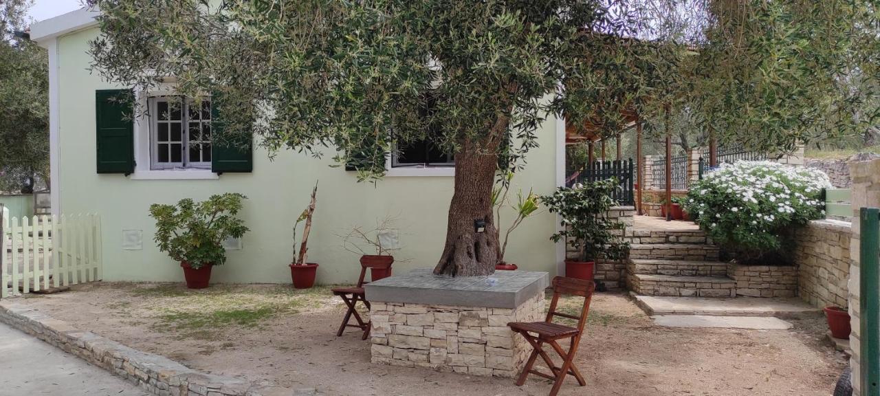 Olive Garden, Kastanida - Paxoi Apartment