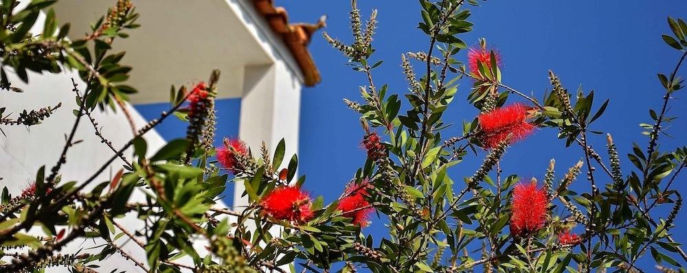 Sunny Days Hotel Tigkaki (Kos)