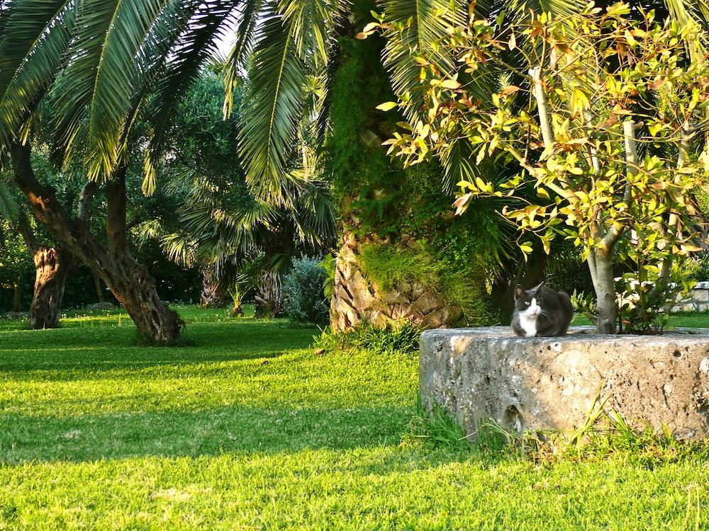 Hotel Nefeli 3*