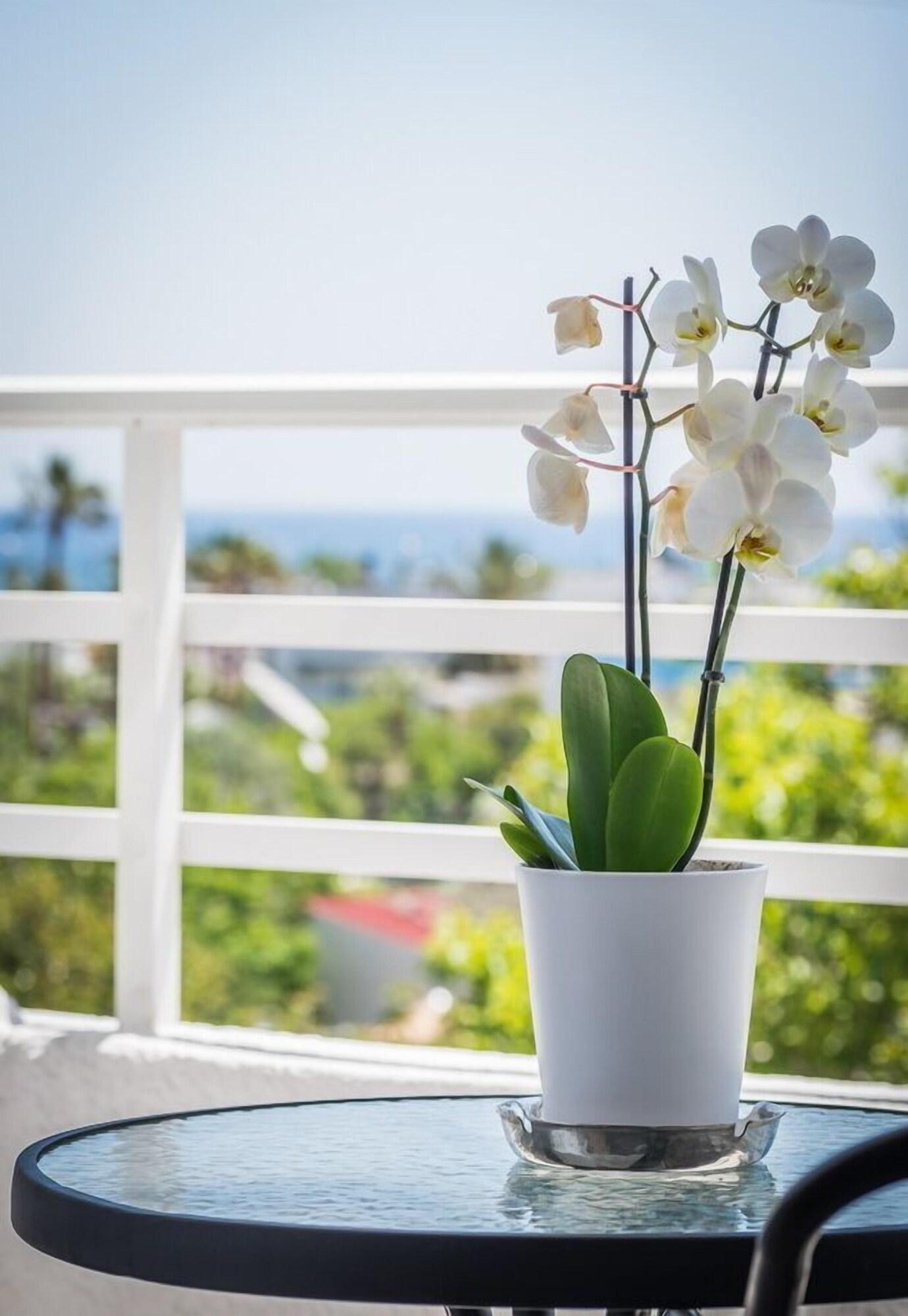Hotel Essential Summer (adults Only)