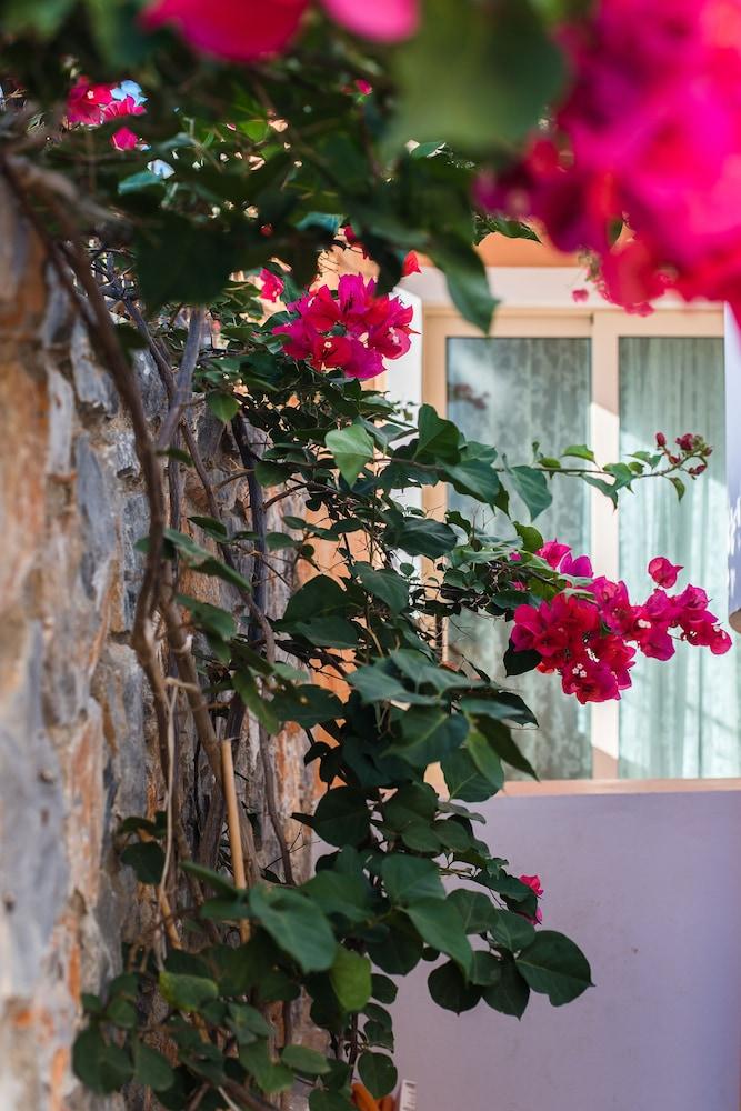 Apartment King's Village Malia (Crete)