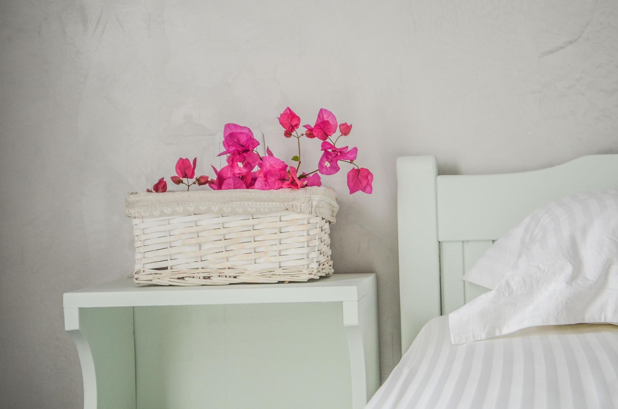 Aparthotel Olga 3*
