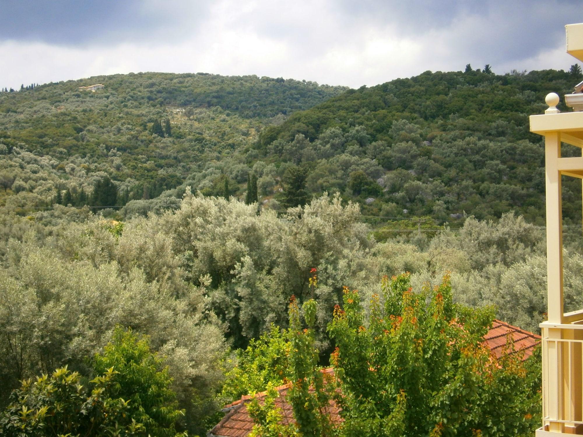 Hotel Thomais Boutique (adults Only) Episkopos