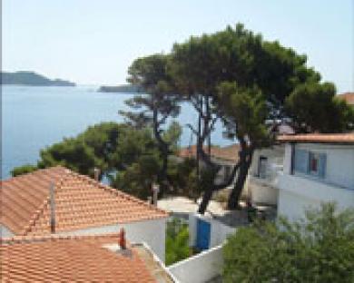 Guest house Argo 2*