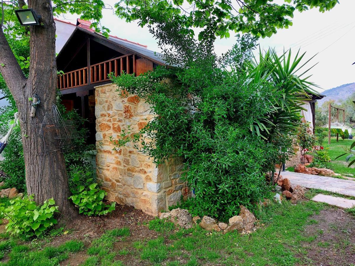 Aggeliki Apartment *