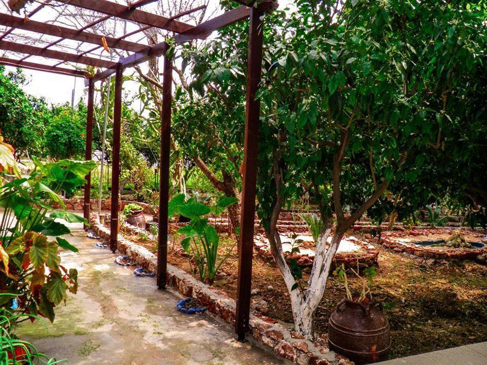 Alpha Stegna Sun Guest house Archangelos (Rhodes)