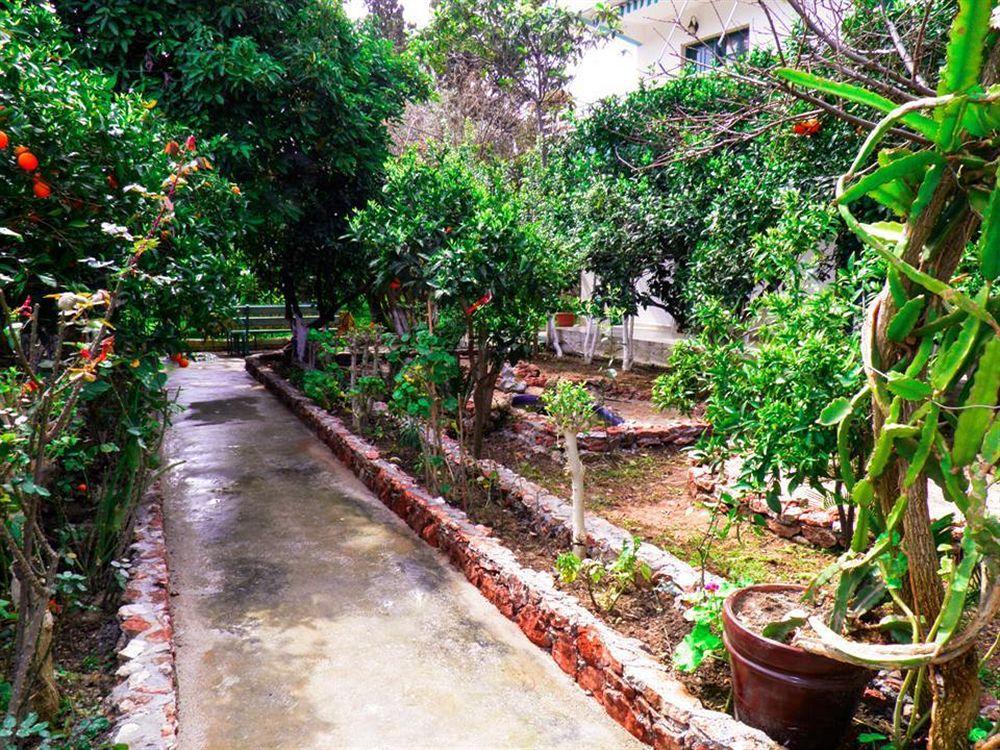 Alpha Stegna Sun Guest house