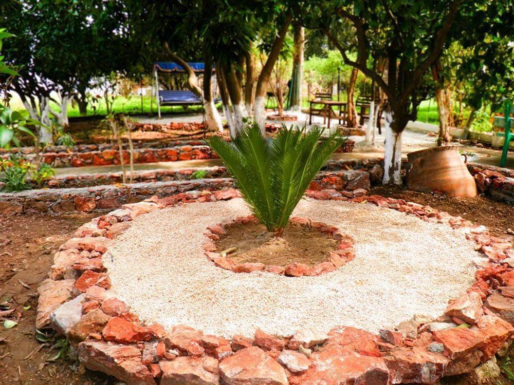 Alpha Stegna Sun Guest house Archangelos (Rhodes)