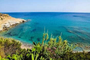 Elena S Garden Ierapetra (Crete)