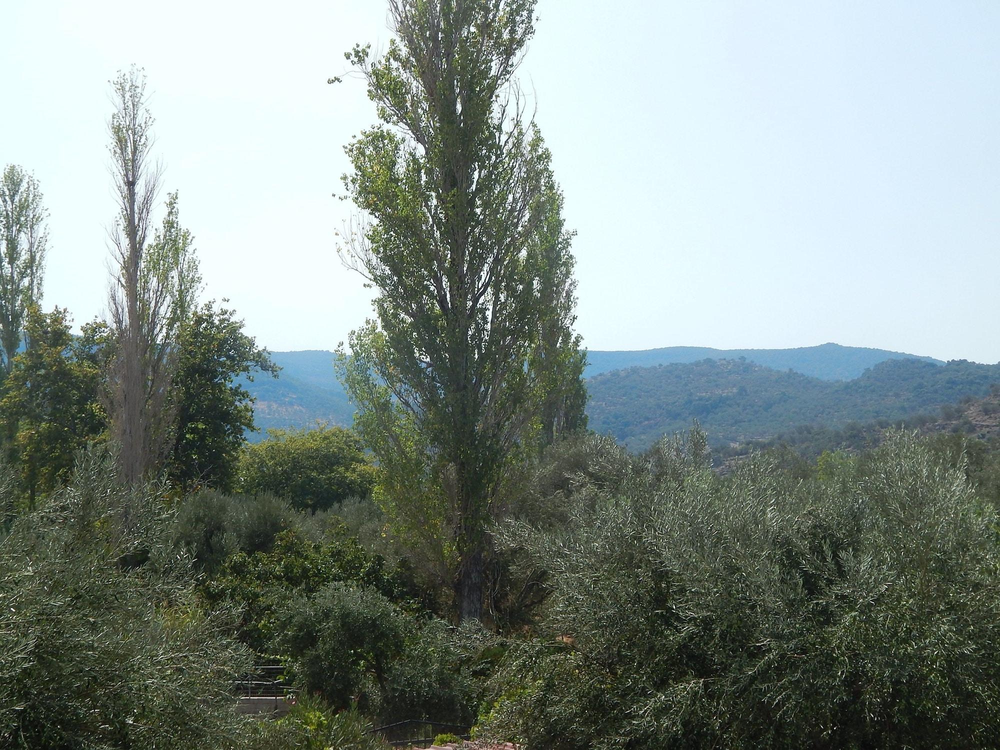 Aparthotel Gardens Anaxos