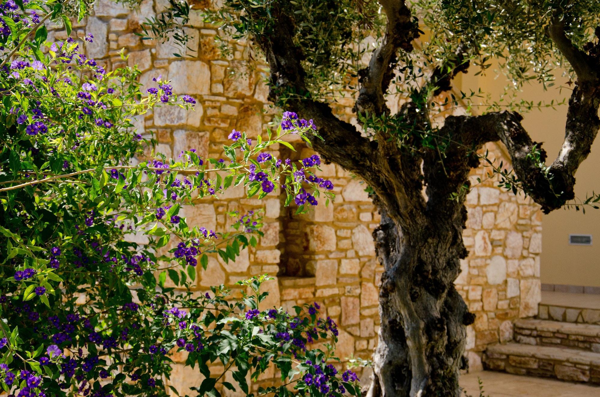 Colonides Hotel Vounaria