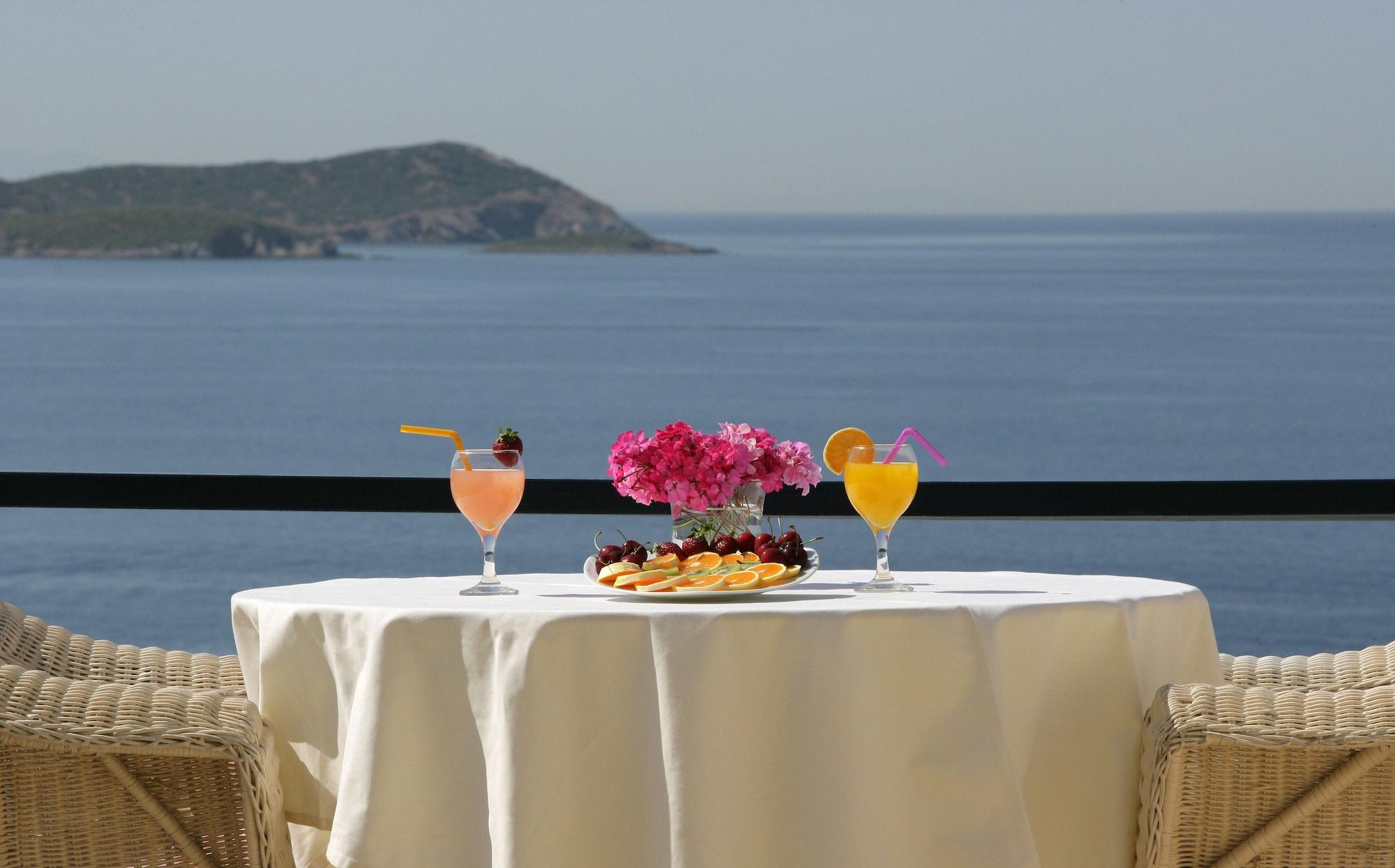 Andros Hotel 3*