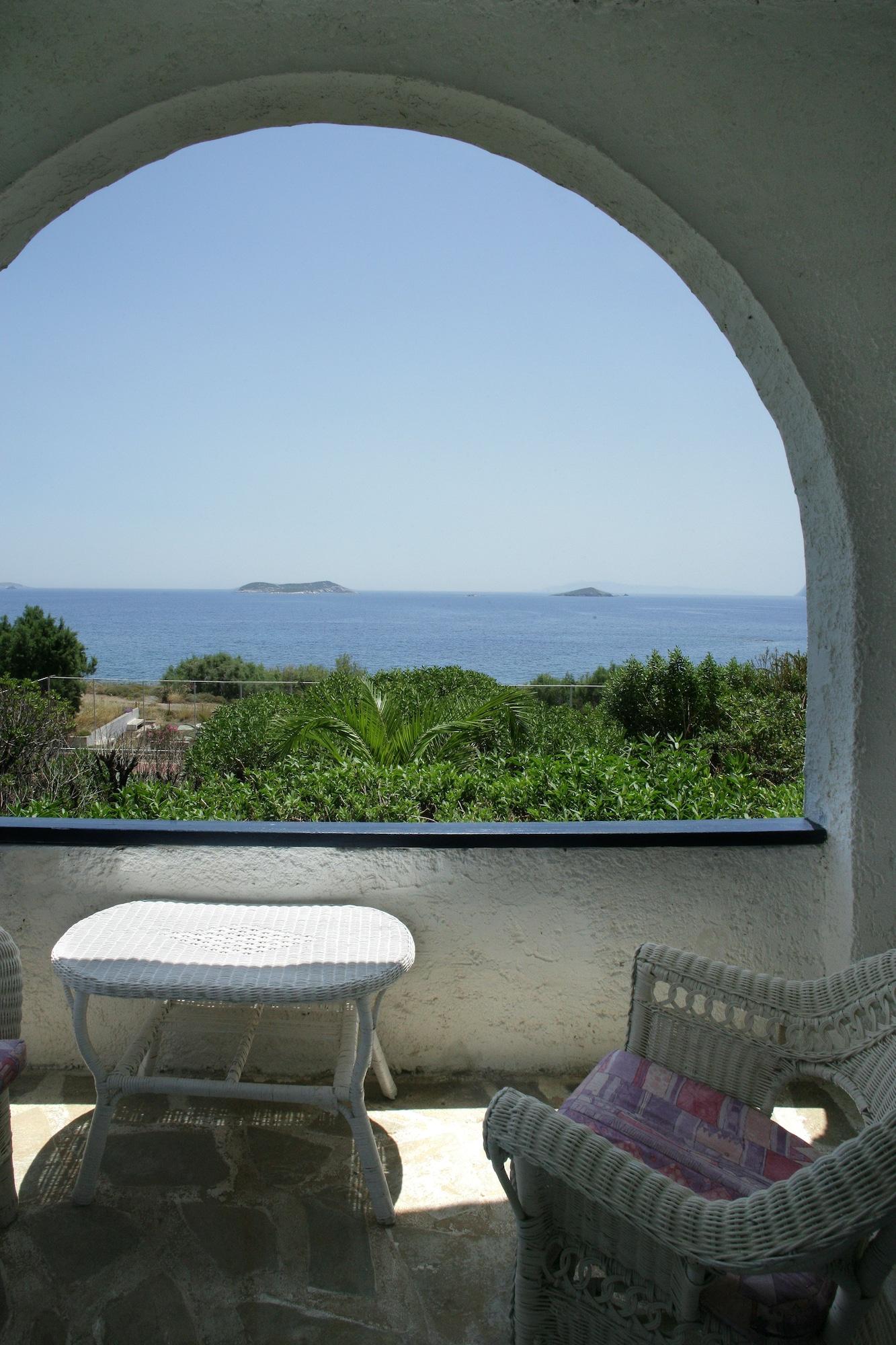 Andros Hotel 3*