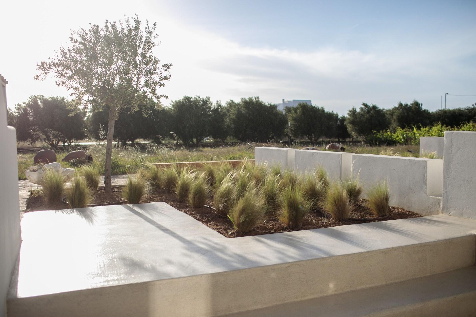 Iphimedeia Luxury Hotel & Suites Apartment Naxos City