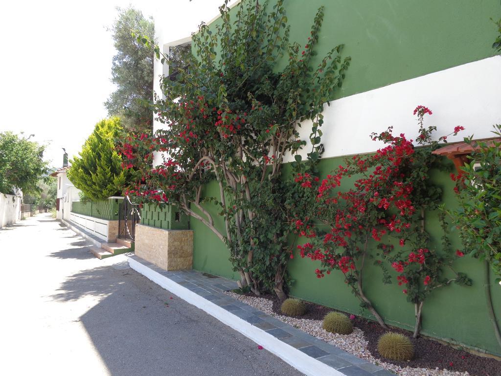 Aparthotel Terinikos Sunny Garden Junior Ialysos (Rhodes)