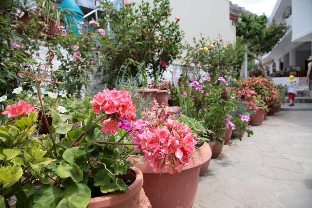 Guest house Paralia