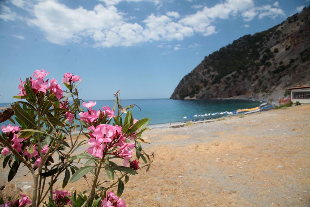 Guest house Paralia 2*