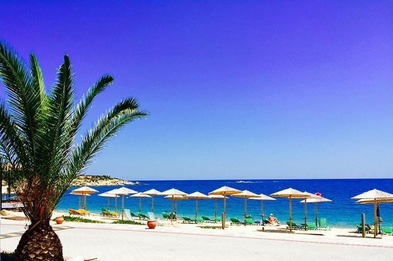 In The Garden By The Sea Sykia Chalkidikis