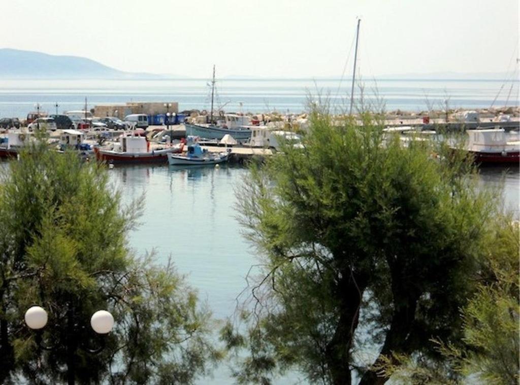 Hotel Andromache Piso Livadi