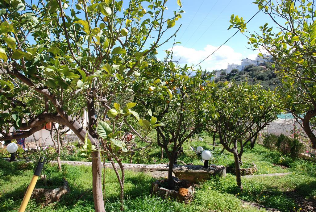 Italiana Aparthotel Amoudara (Lasithi)