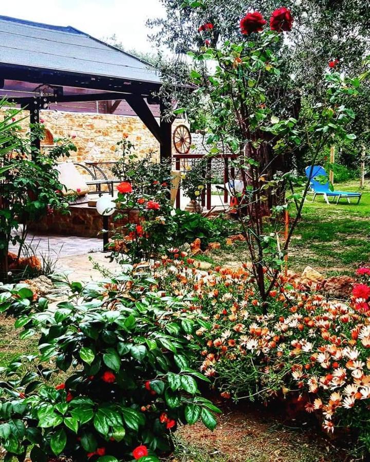 Apartment Aggeliki Prinos (Thasos)
