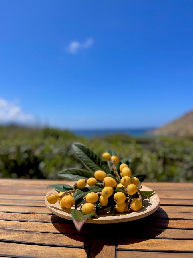 Seaside Karpathos * Arkasa