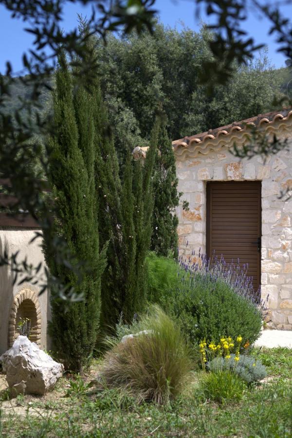 Lioriza Country Holiday home Kalamaki (Zakynthos)