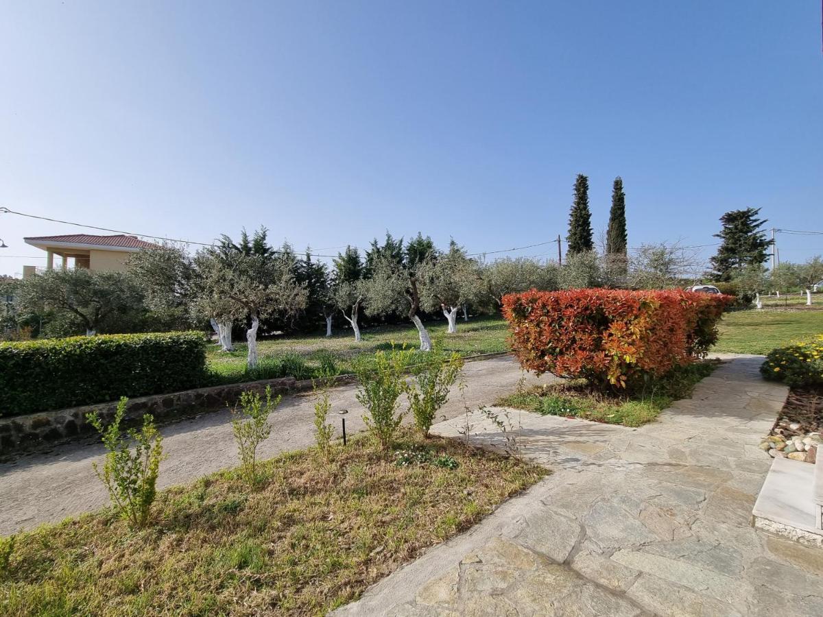 Alivia Garden Villa *