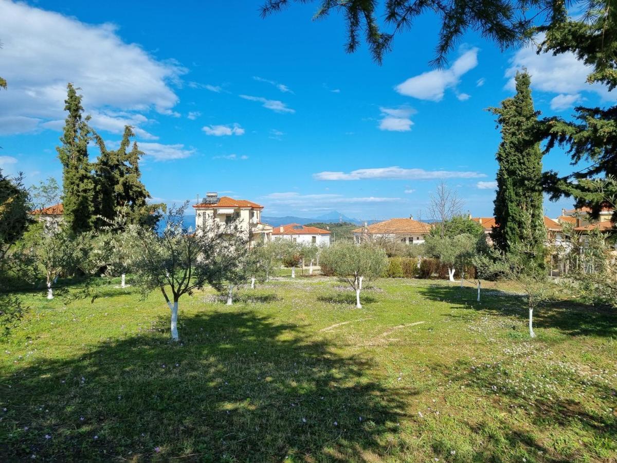 Alivia Garden Paliouri