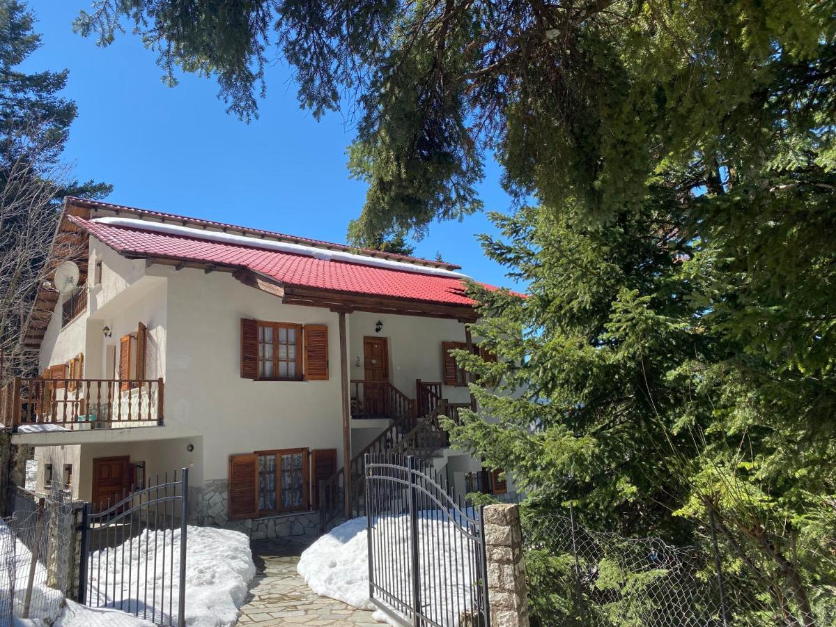 Evergreen Holiday home Elati (Trikala)