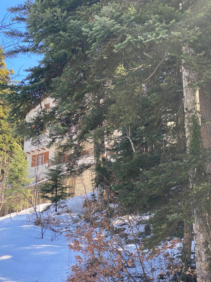 Evergreen Holiday home