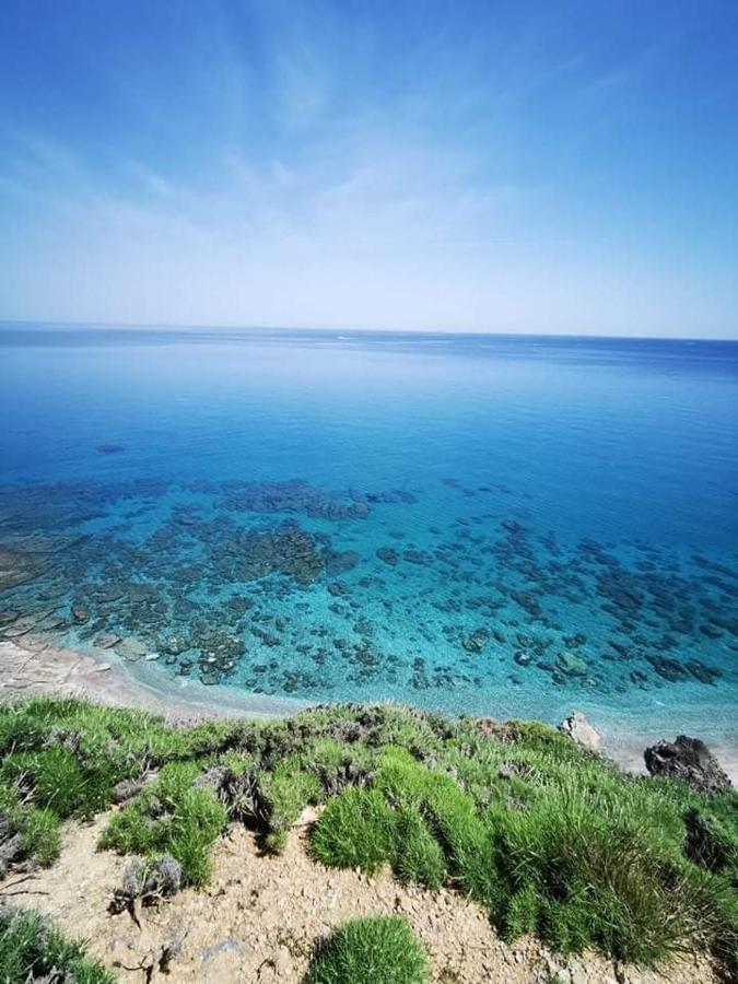 Giannis Stella