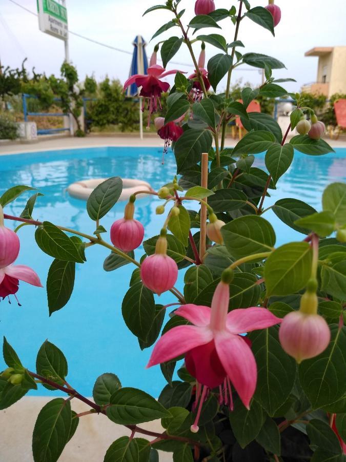 Creta Sun Aparthotel 2*
