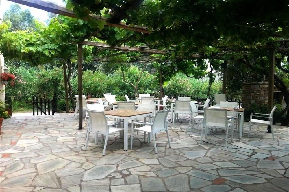 Hotel Saily