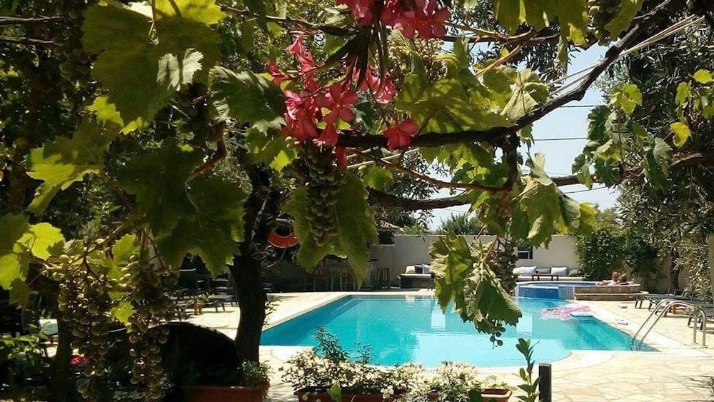 Hotel Saily