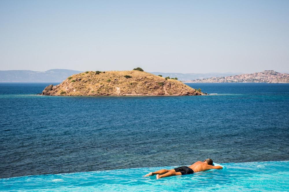 Little Bird * Petra (Lesbos)