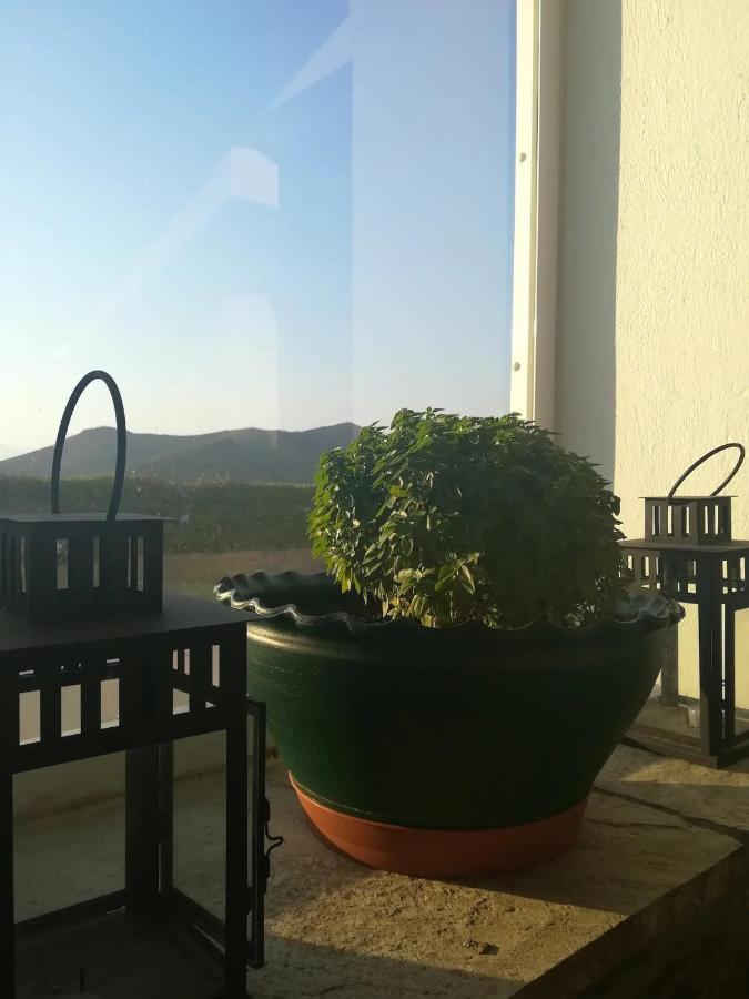 Apartment Andros Eco *