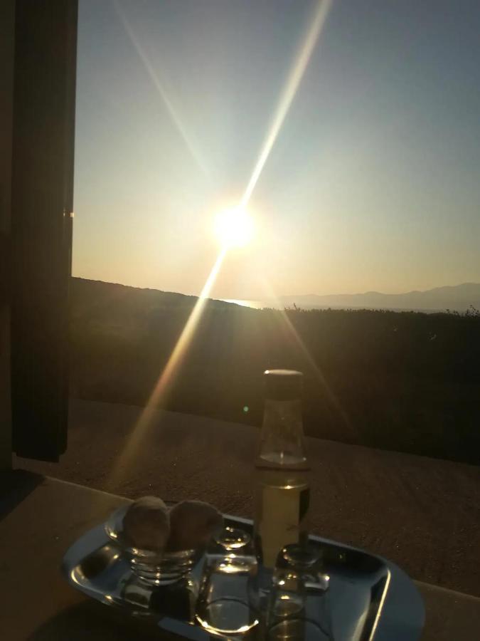 Andros Eco Apartment Gavrio
