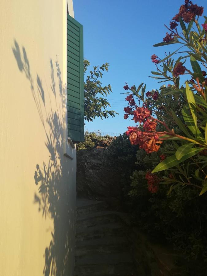 Andros Eco